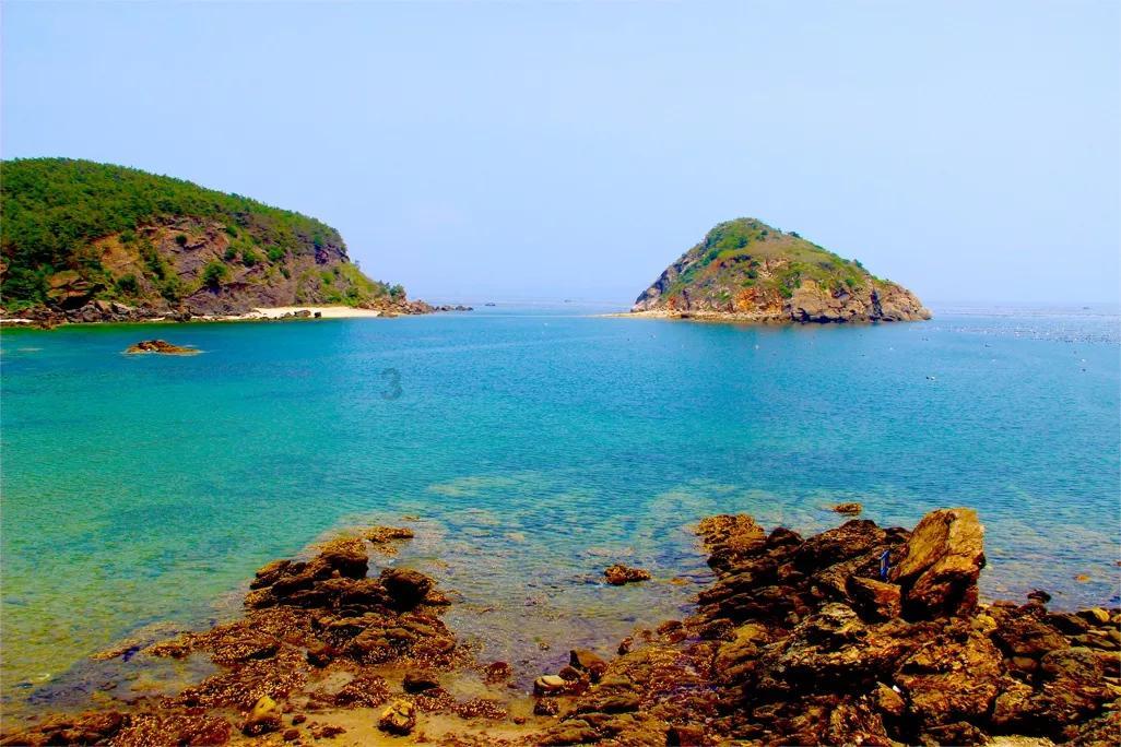 基层动态 | 央视关注 联播点赞—— 东山:陆海统筹,推进美丽海湾建设!